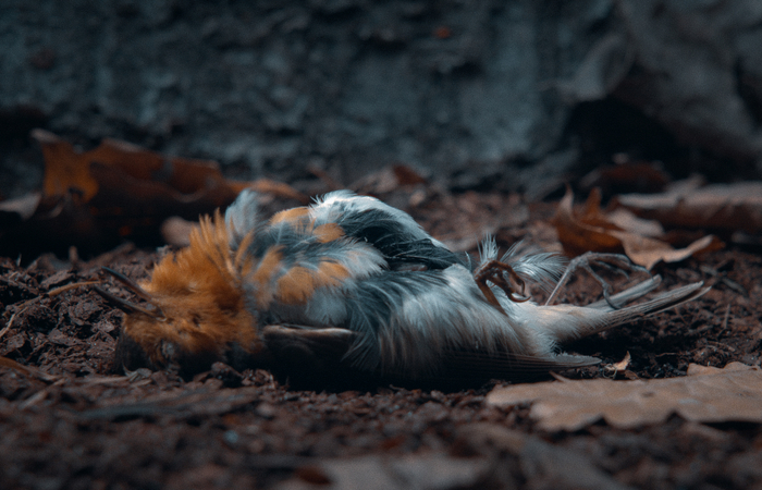 Beigas Still 015.jpeg